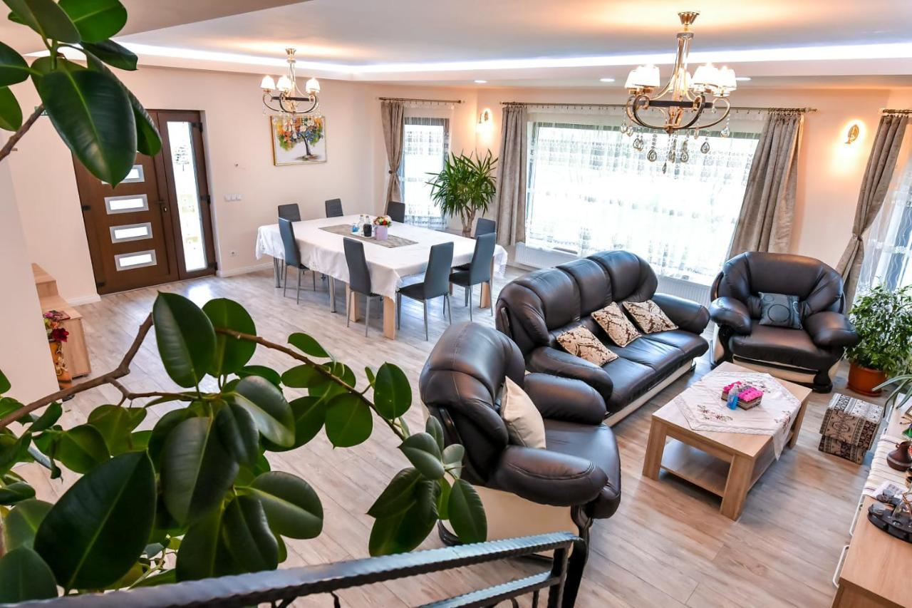 Casa Nely Hotel Sighetu Marmatiei Ngoại thất bức ảnh